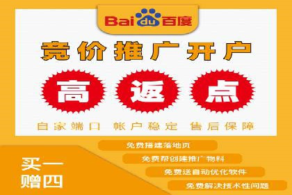 竞价广告的投放策略与网络推广的实践案例
